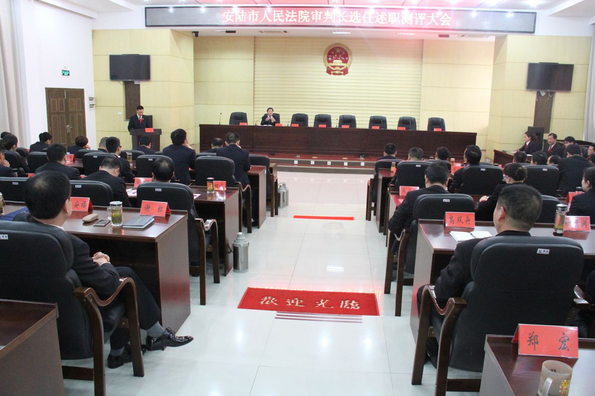 述职测评选任审判长.JPG