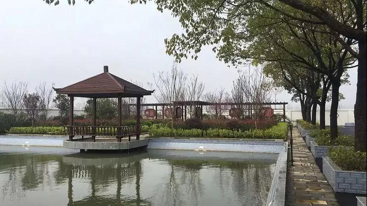 微信图片_20190321164045.jpg 微信图片_20190321164045.jpg