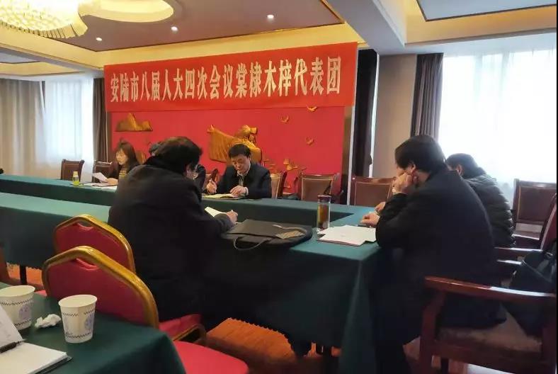 代表团3.jpg